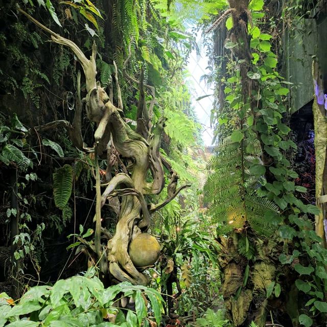 The Secret Garden at Cloud Forest