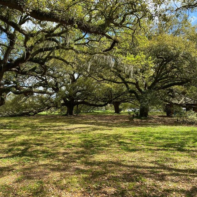 New Orleans City Park 