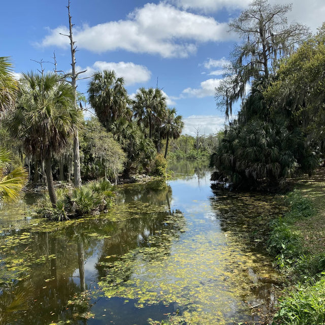 New Orleans City Park 