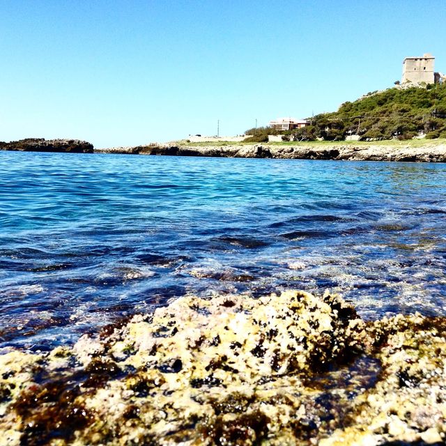 torre dall’alto • Santa Caterina