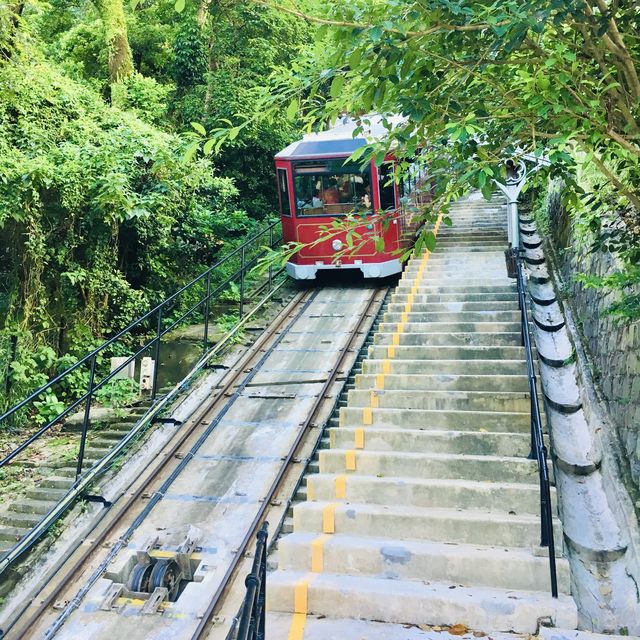 快閃行山 - 加列山道至金鐘