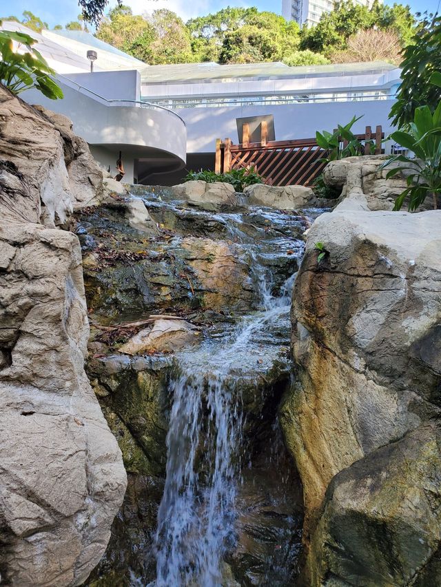 Nature in the middle of Hong Kong