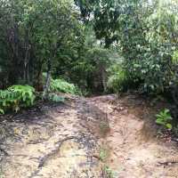 Bukit Panorama ( Peak) Sungai Lembing 