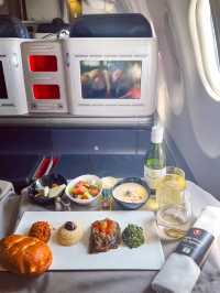 Turkish Airline Business Class A330-300