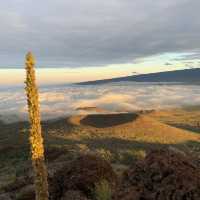 Collection of breathtaking Hawaiian sunsets.