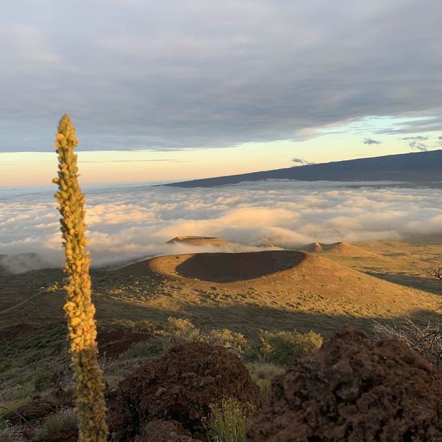 Collection of breathtaking Hawaiian sunsets.