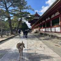 日本🇯🇵大阪⋯⋯你一定要去