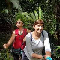 Trekking for RAFFLESIA