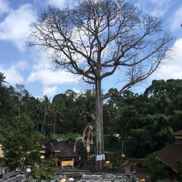 Elephant Cave Temple