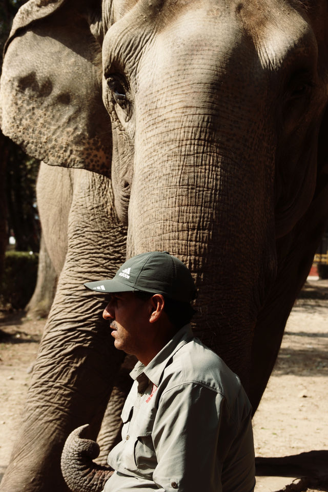 Nepal Kathmandu Central Zoo