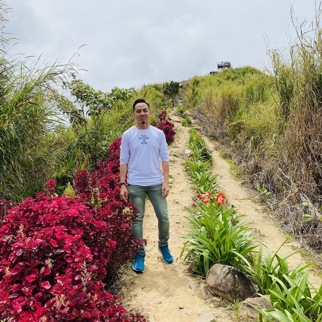 easy hiking with great view 