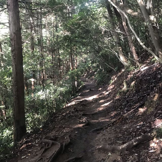 高尾山・稲荷コースは初心者にもおすすめ