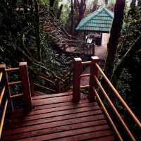 The Views Of Cameron Highland Malaysia