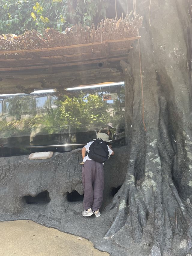  両生爬虫類館 といったらここ上野動物園！