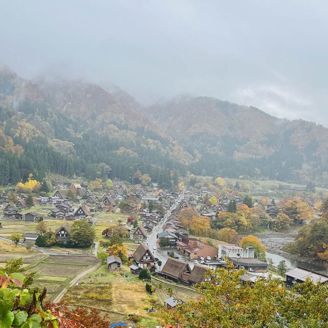 世界文化遺產 白川鄉🍁🍁