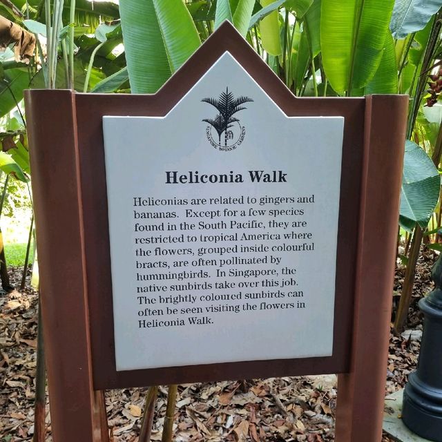 Symphony Lake & Heliconia Walk