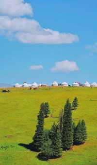 Plateau pastoral area