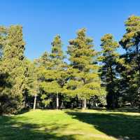 Many places to enjoy your days in Canberra