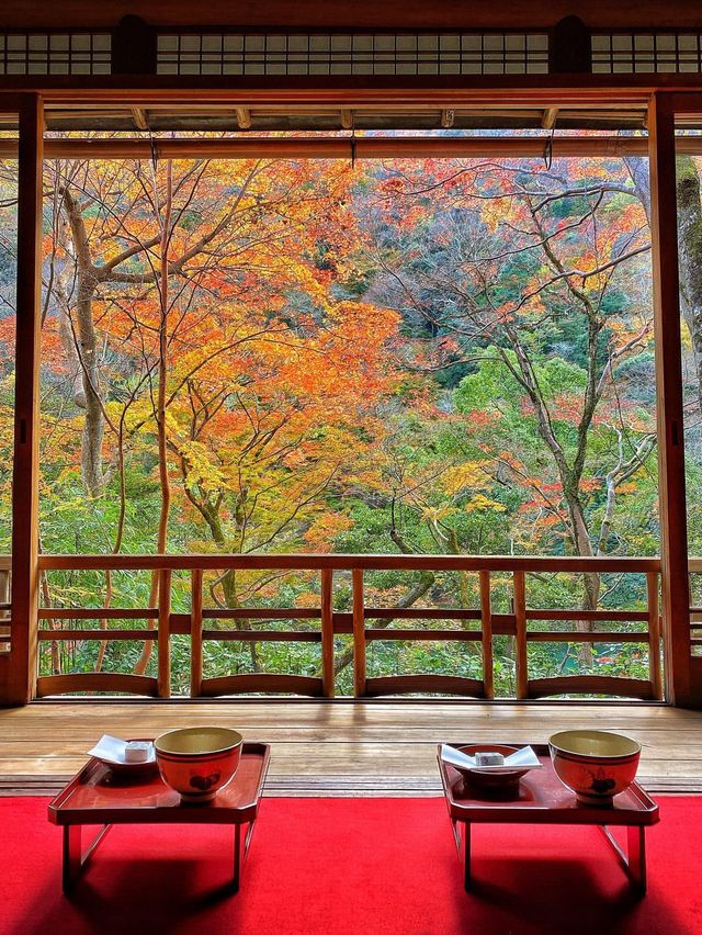 【京都・嵐山】最高の紅葉に出会う🍁