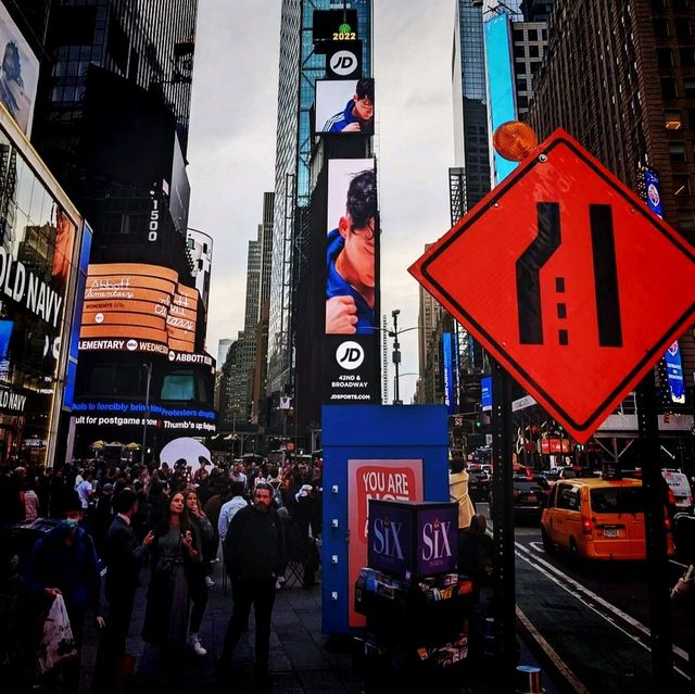 The World Famous Times Square New York