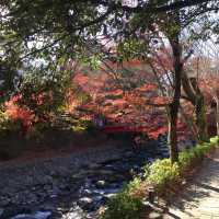 ~ Shuzenji in Autumn 