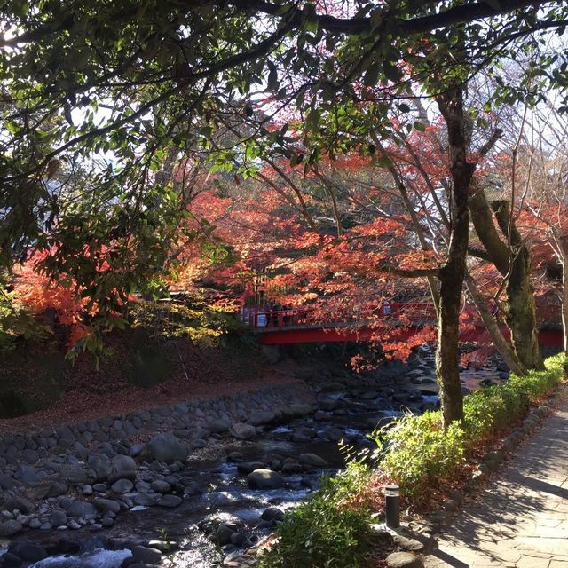 ~ Shuzenji in Autumn 