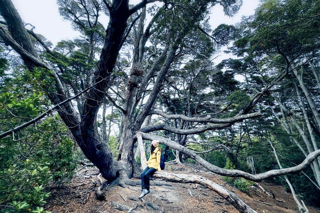 🇦🇷 Tierra del Fuego National Park, the place that made me fall in love with hiking completely!