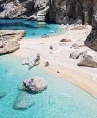 Sardinia, Italy, the must-visit transparent jellyfish sea in life.