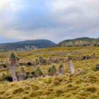 Trek to the foot of Cradle Mountain, Tasmania