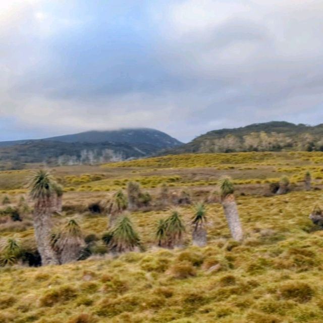 Trek to the foot of Cradle Mountain, Tasmania