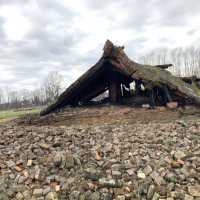 Educational Travel❓🫨 Auschwitz Concentration Camp