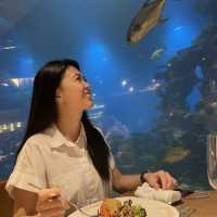 Dinner with fishes and mermaids!