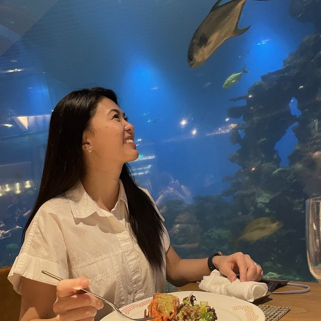 Dinner with fishes and mermaids!