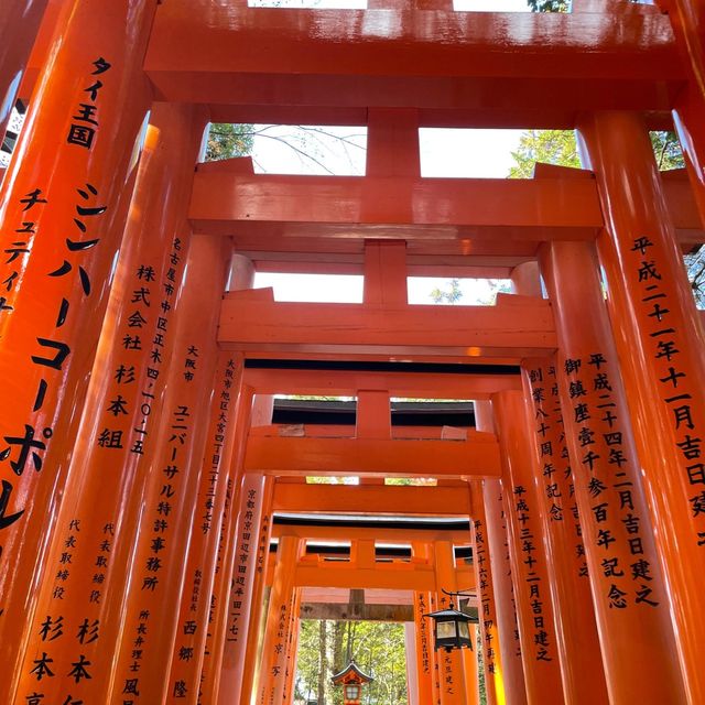 【京都】伏見稲荷大社｜圧巻の千本鳥居⛩