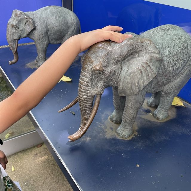 駅からすぐ東京でパンダに会える上野動物園