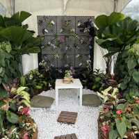 Garden design competition in Botanic Garden