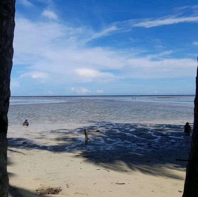 it's tanning BM Beach ⛱ Puerto Princesa City 