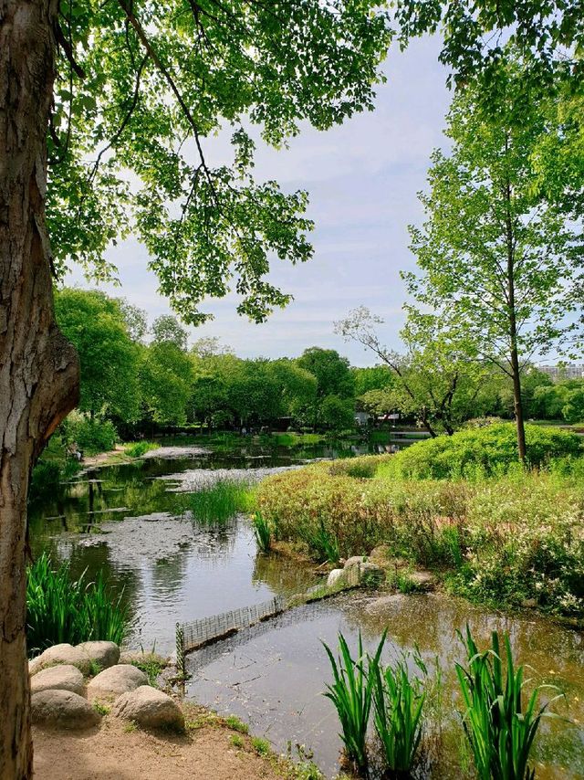 도심 속에서 자연을 느낄 수 있는 곳, 서울숲 🌳