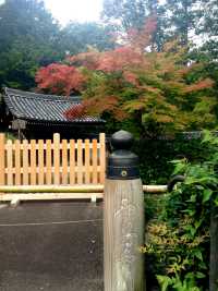 Saihoji Temple——Japan Kyoto