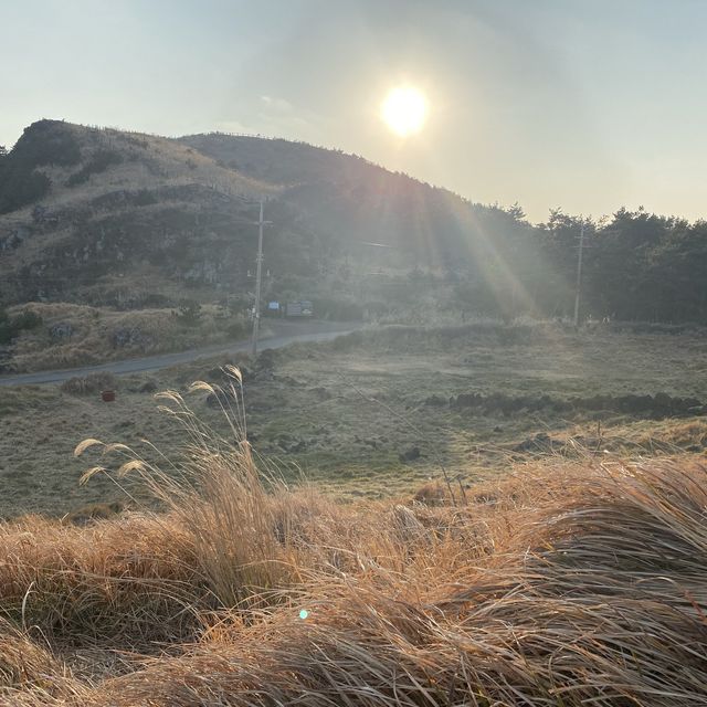 바다 한바퀴, 제주의 절경 송악산⛰