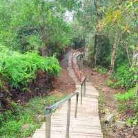 Bukit Panorama ( Peak) Sungai Lembing 