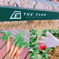  THE FARM ザファーム【千葉県/香取市】