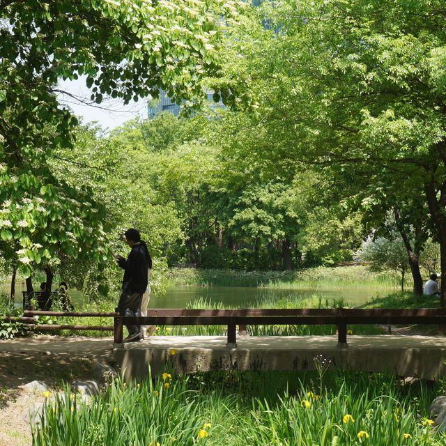 계절마다 다른 느낌의 도심 속 숲, 서울숲🌳