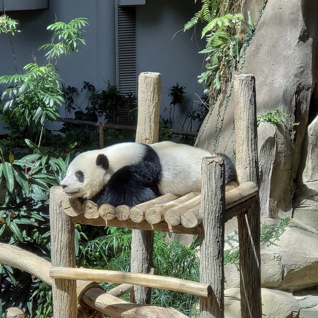 Zoo Negara - KL, Malaysia