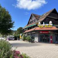 Titisee - ❤️lake and pine trees 🌲 🇩🇪