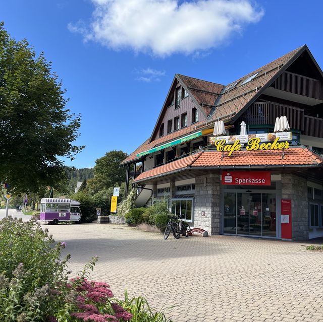 Titisee - ❤️lake and pine trees 🌲 🇩🇪