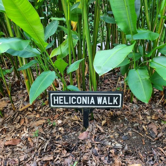 Symphony Lake & Heliconia Walk