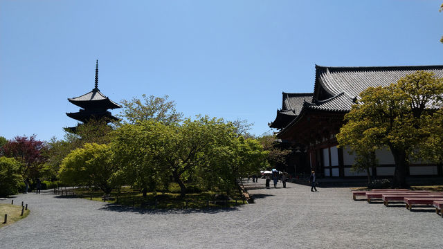 京都東寺