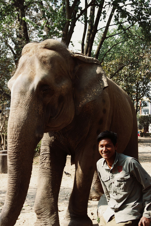 Nepal Kathmandu Central Zoo