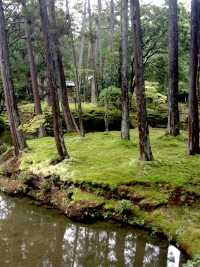 Saihoji Temple——Japan Kyoto